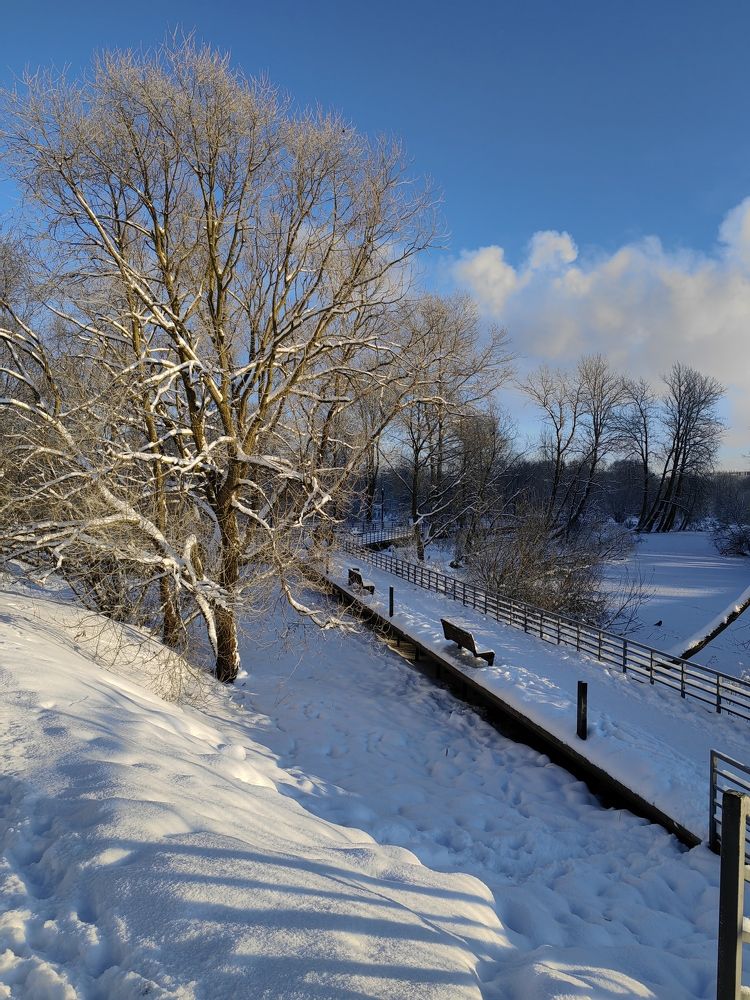 Photo #10124450