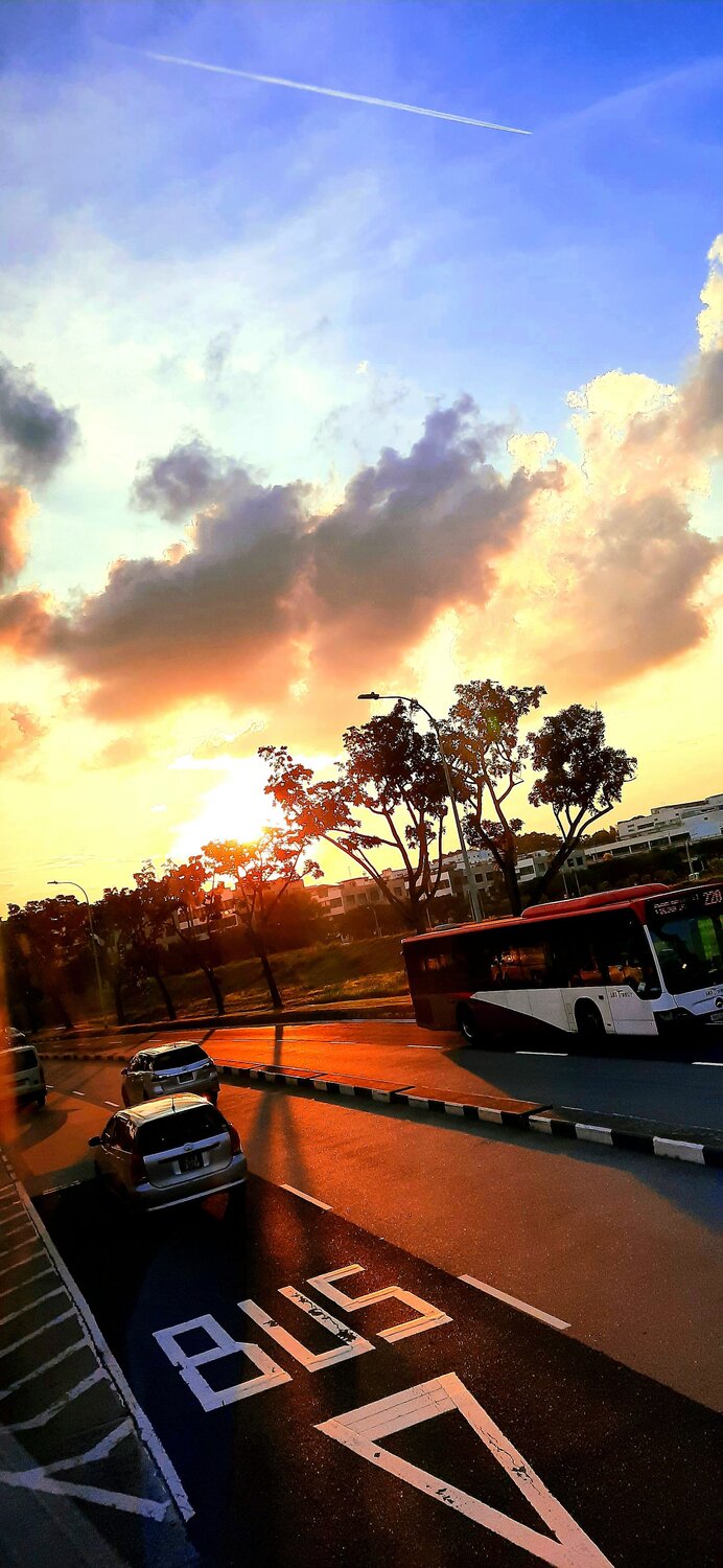 Photo #10124455