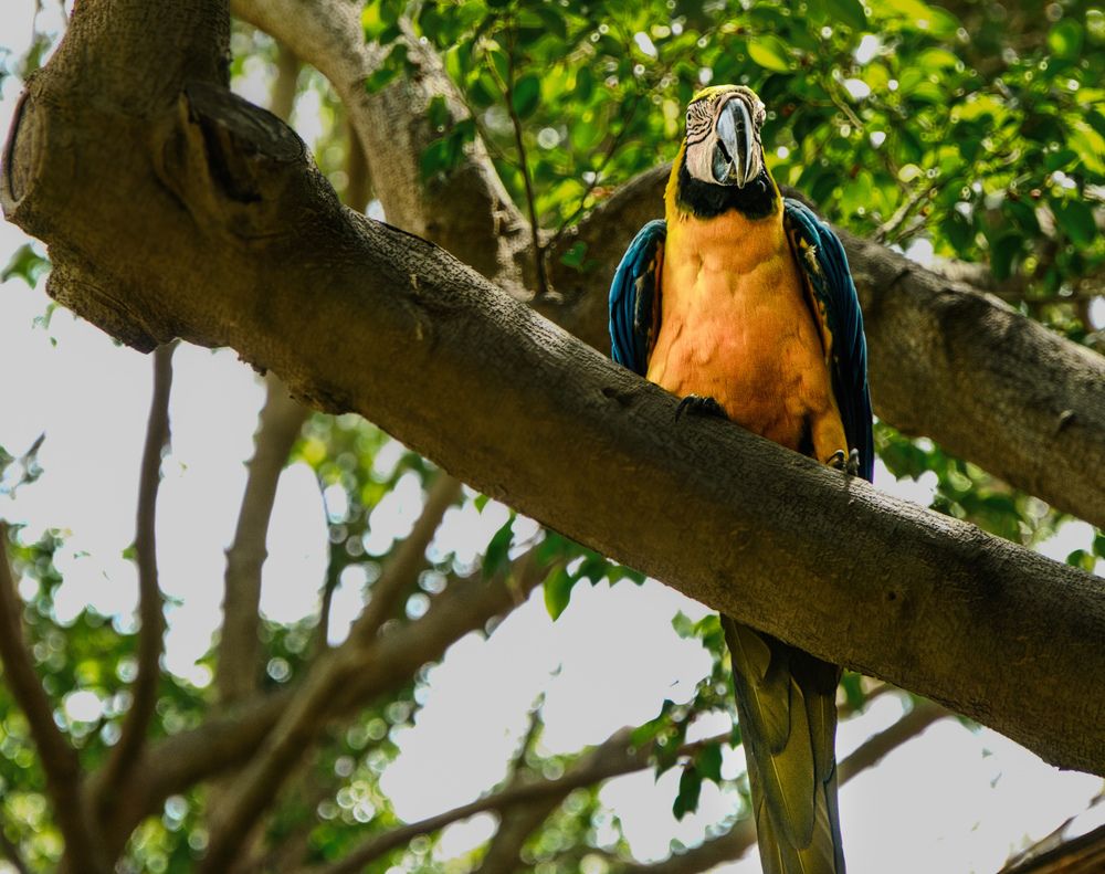 Photograph by Costin Gligor