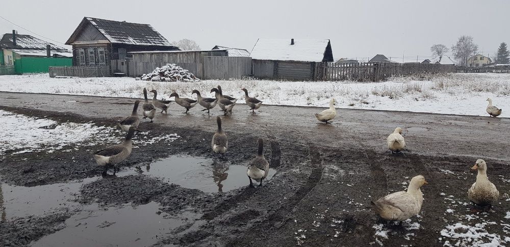 Фотография автора Ольга Мусина