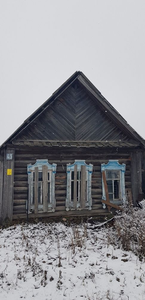 Фотография автора Ольга Мусина