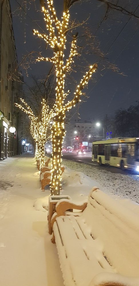 Фотография автора Ольга Мусина