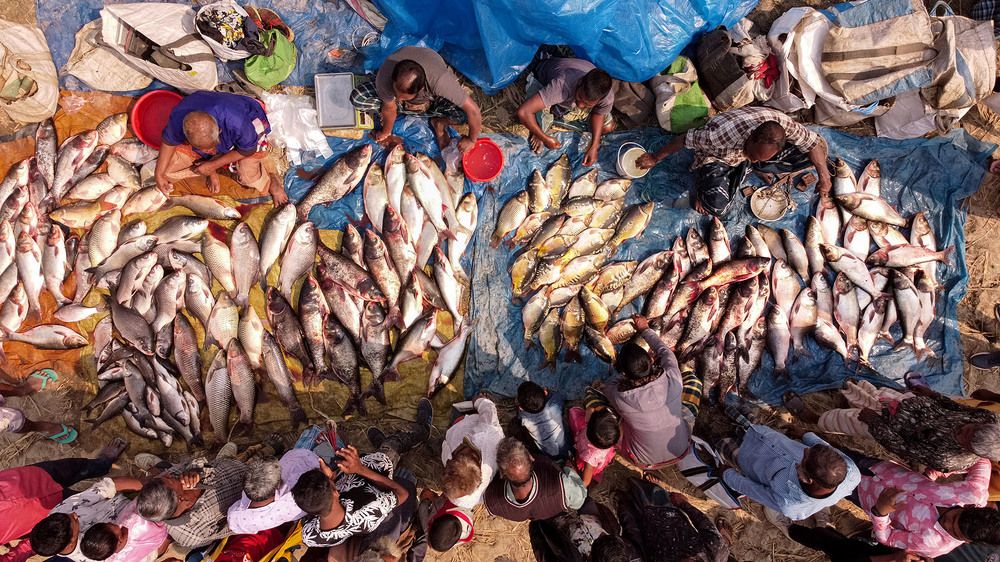 Photograph by Joy Saha