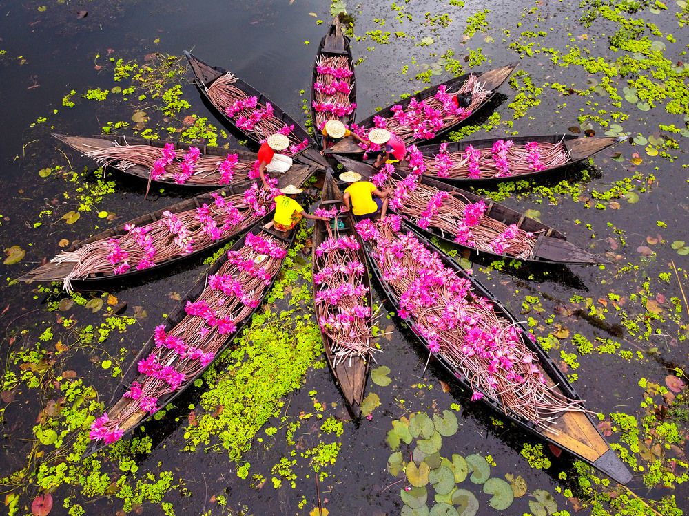 Photograph by Joy Saha