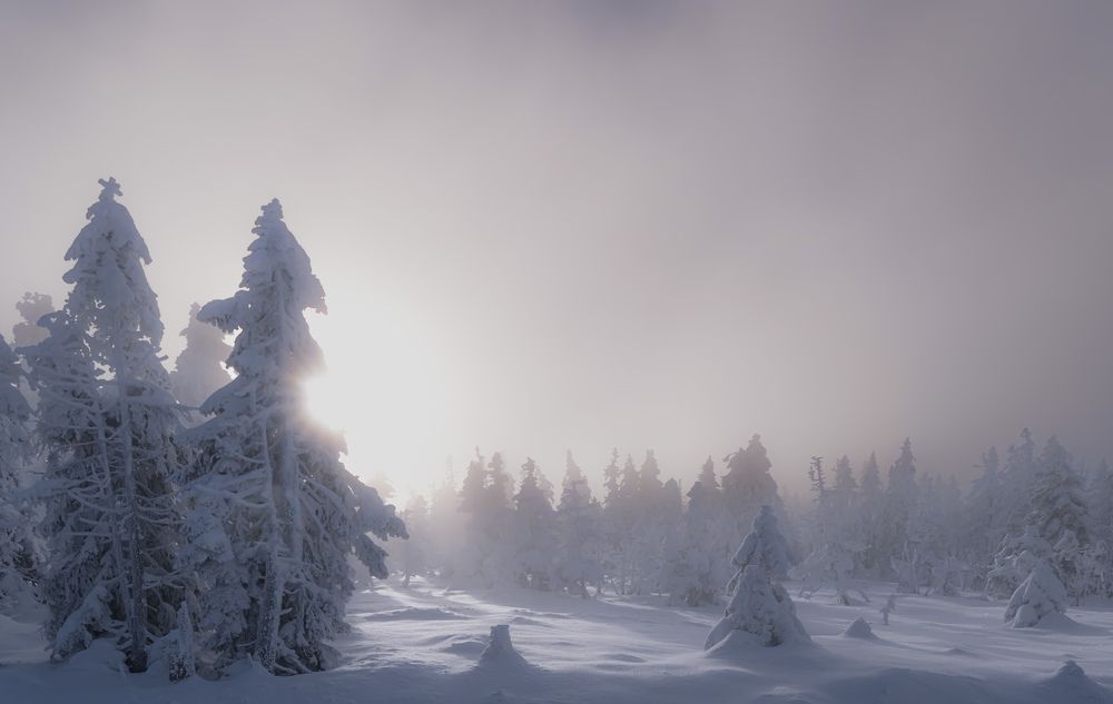 Photograph by Wiese Michael