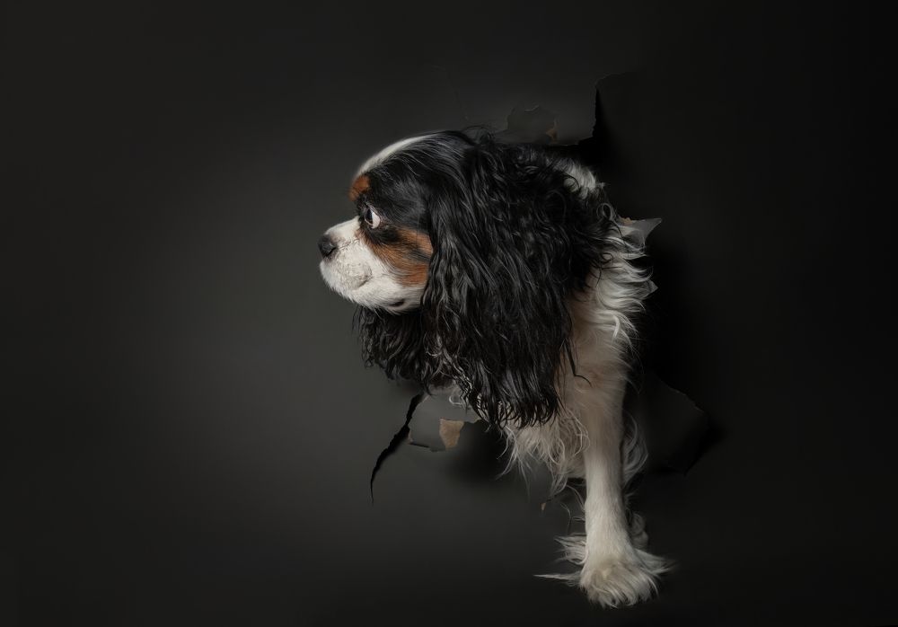 Photograph by Галина Павлова