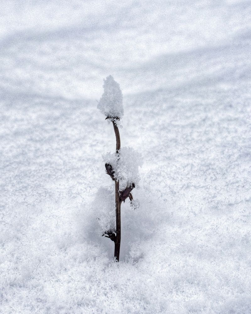 Photograph by Гульнара