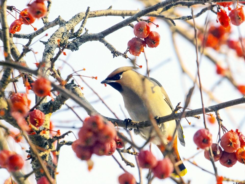 Photograph by Сергей Черных
