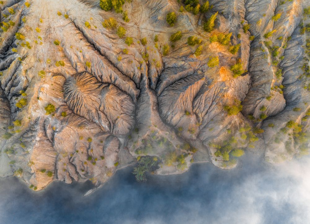 Фотография автора Гарбузов Илья