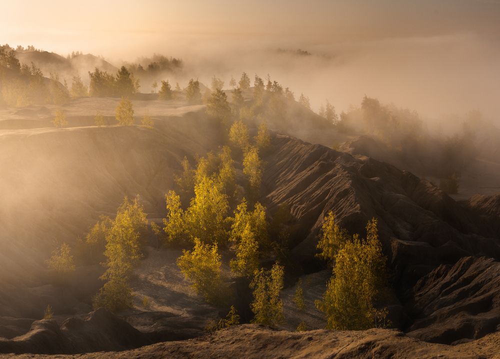 Фотография автора Гарбузов Илья