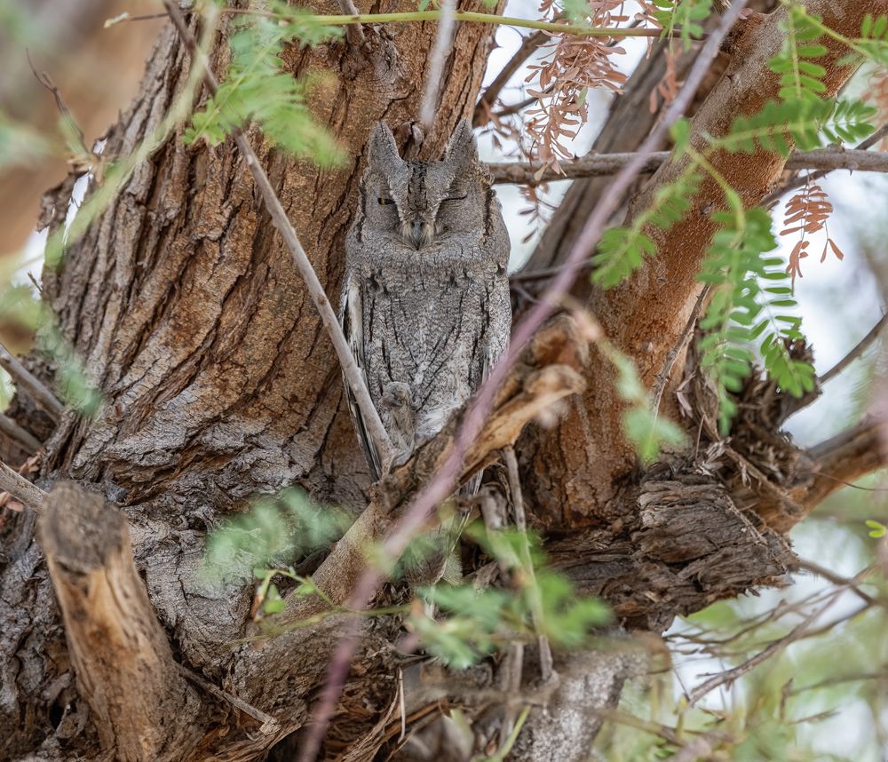 Photograph by Abubakr Younus