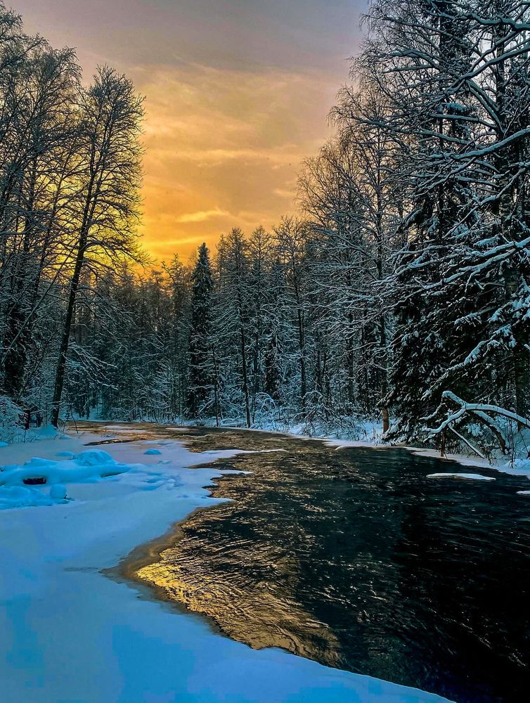 Photograph by Александра Мазур