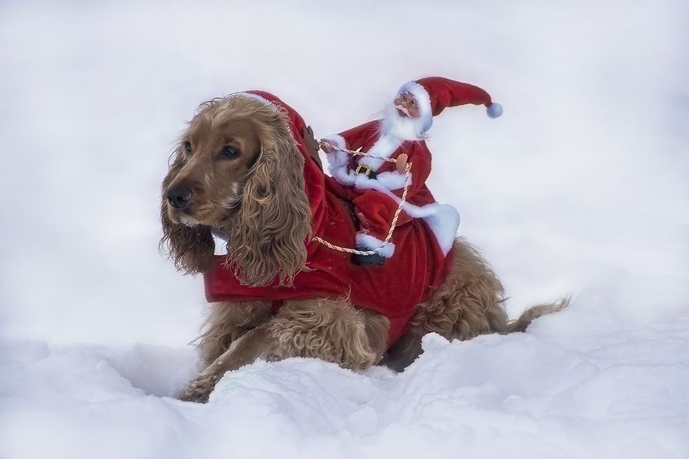 Photograph by Кристина Пушкина