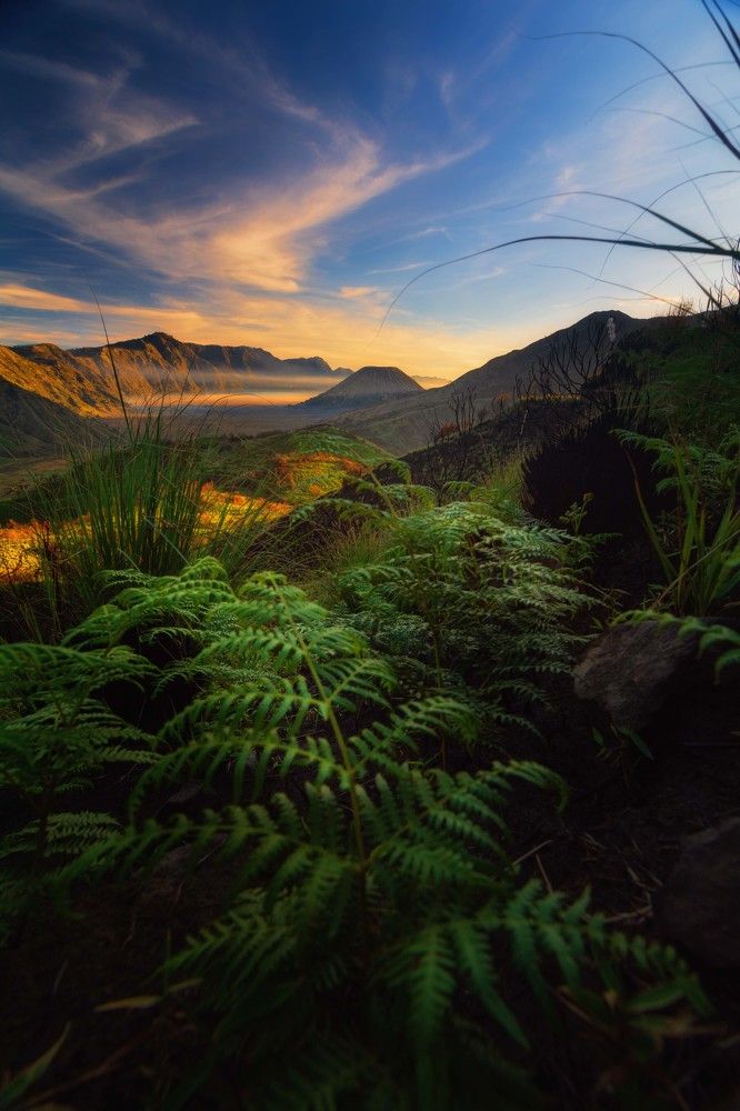 Photograph by Satryo Tryra