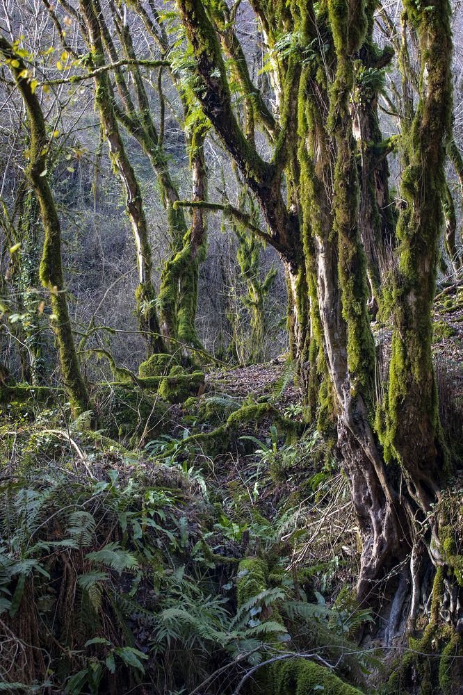 Photograph by Дмитрий Юдин