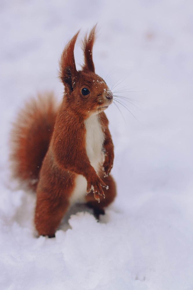 Photograph by Утешева Калина Александровна