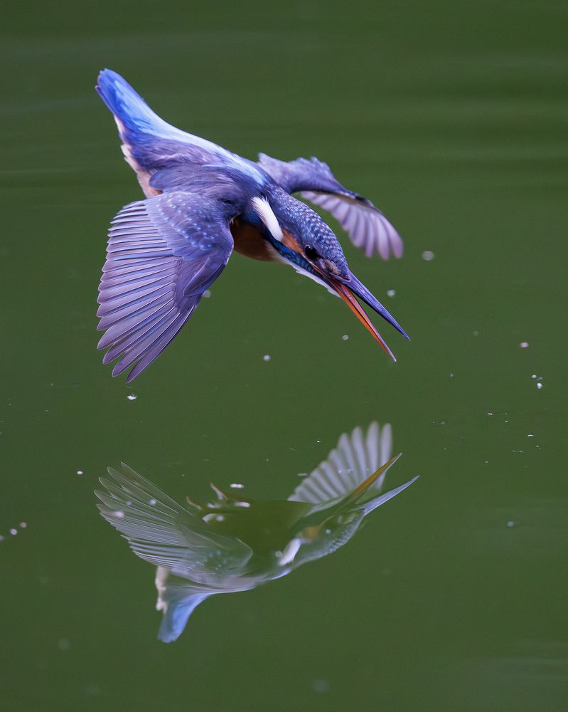 Photograph by Benny Chan