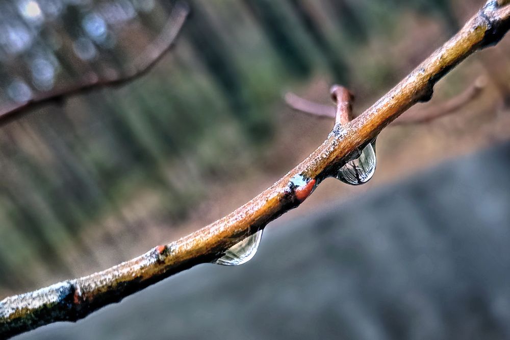 Photograph by Альфия Агзами