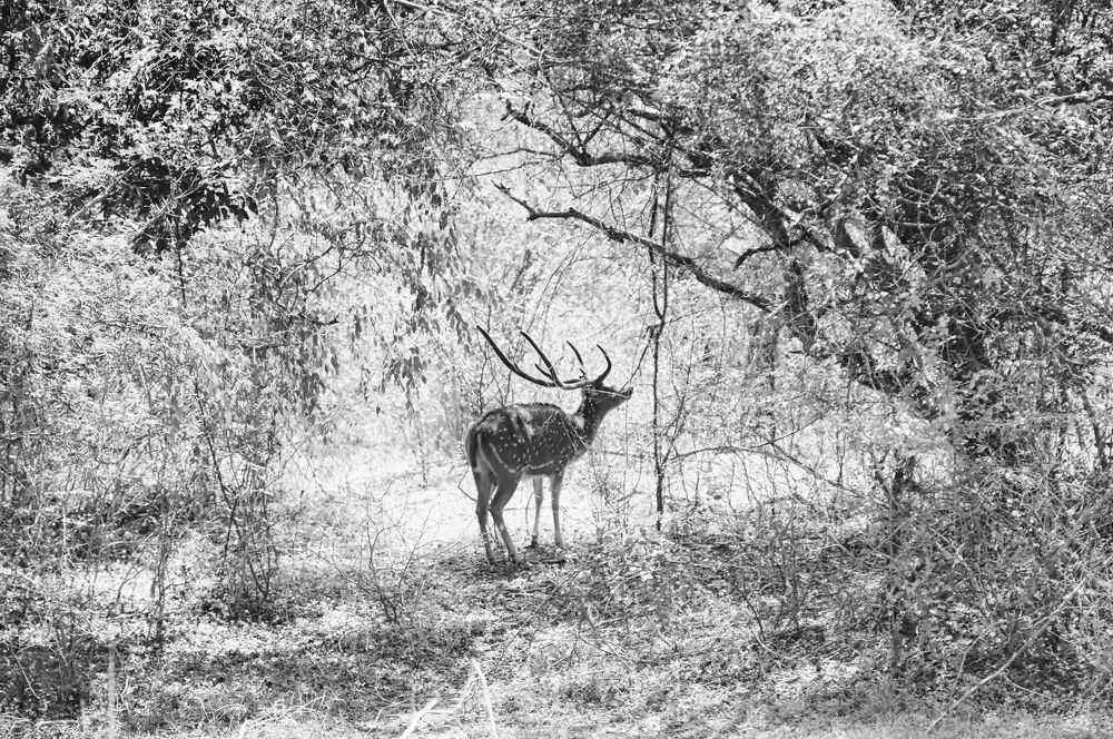 Photograph by Shiri Ezer