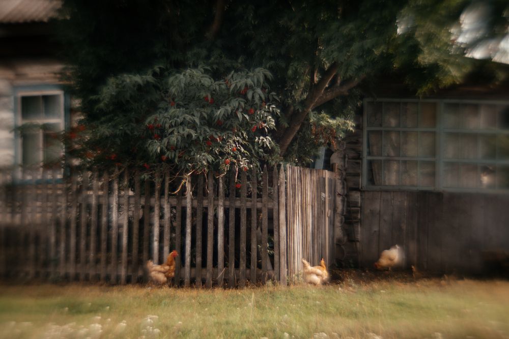 Photograph by Корчагина Оксана