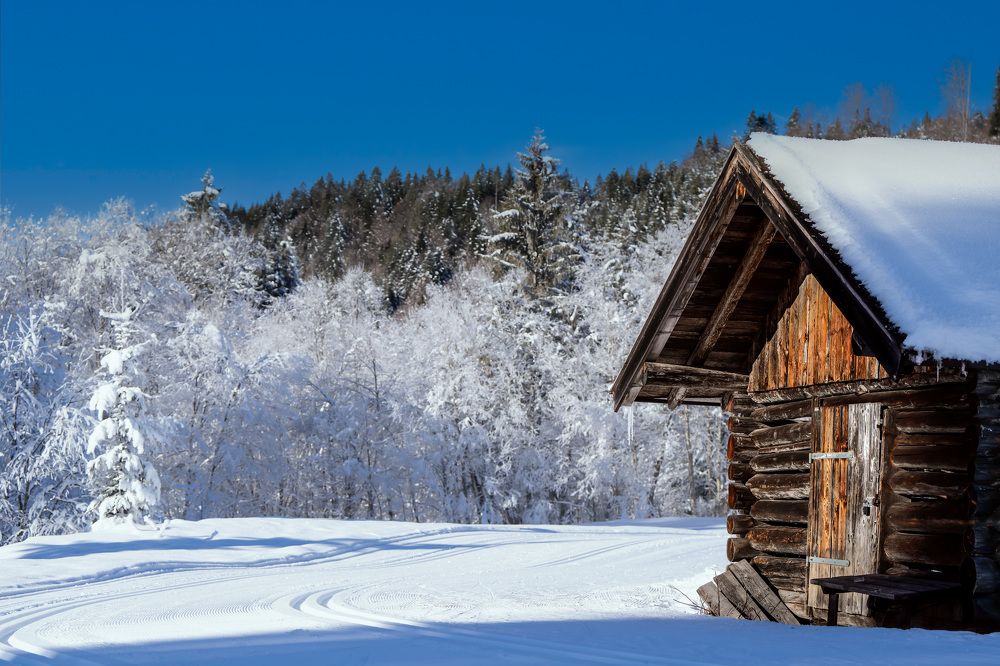 Photograph by Adriana Smeu