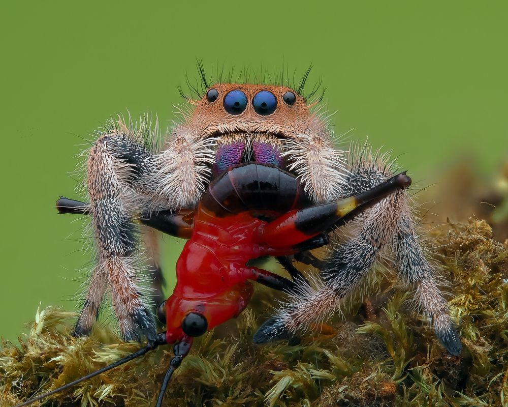 Photograph by Marcus Kam