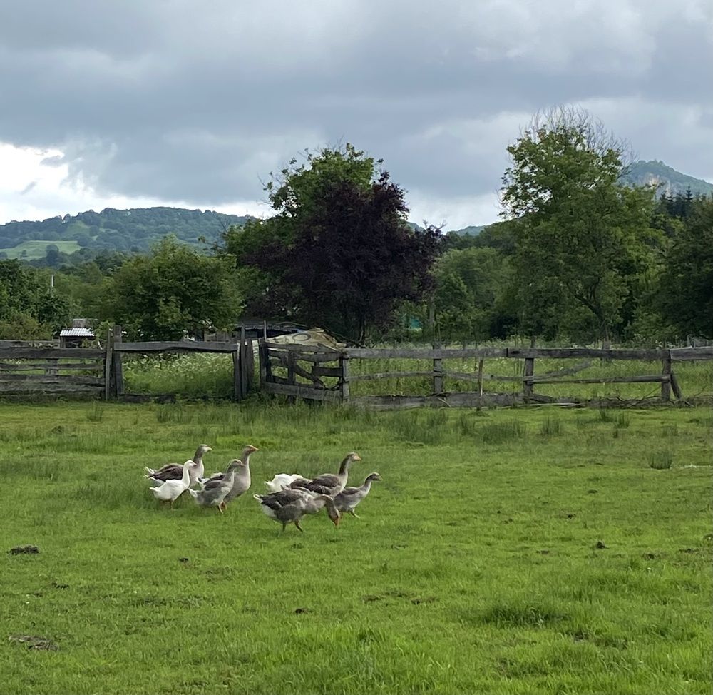 Photograph by Алиса Лукина