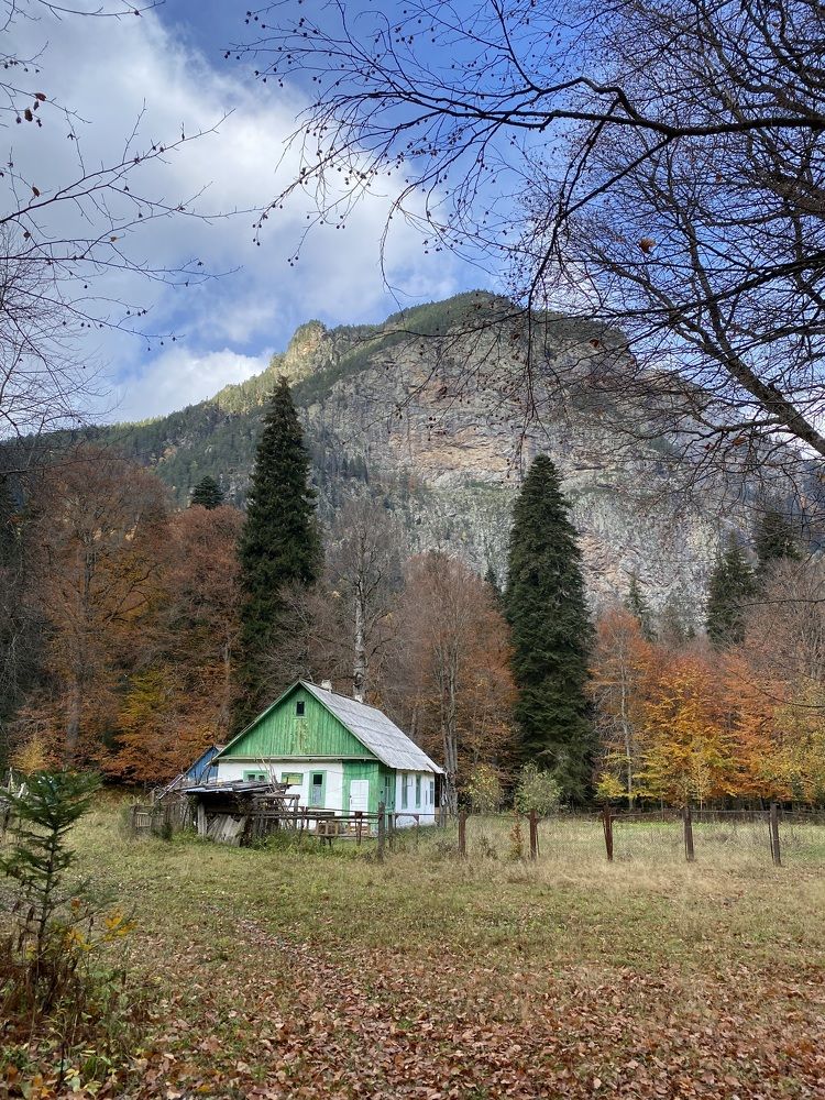 Photograph by Алиса Лукина