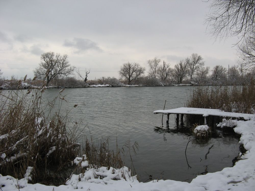 Photo #10125070