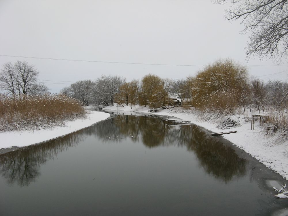 Photo #10125072