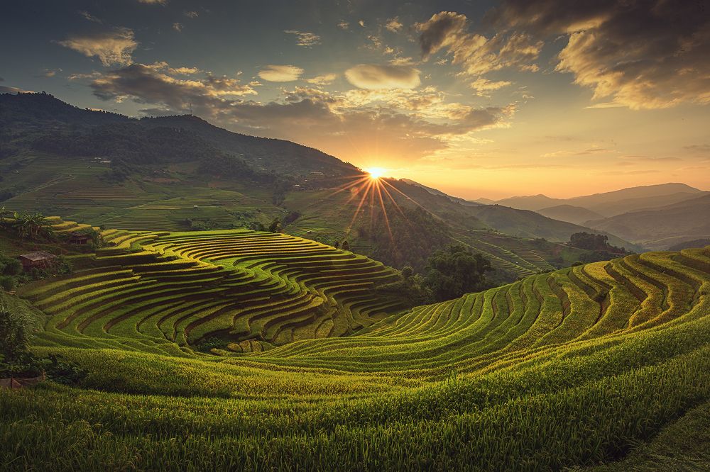 Photograph by CHU HUU LAC