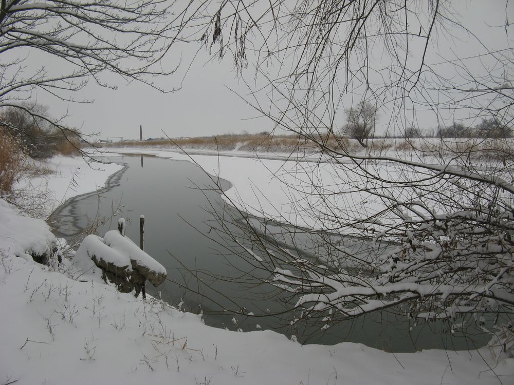 Photo #10125089