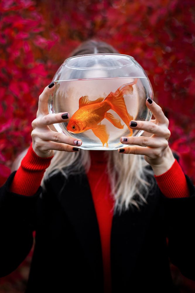 Photograph by Екатерина Нефедова