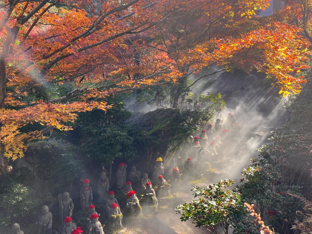 Фотография автора Sen Abhijit