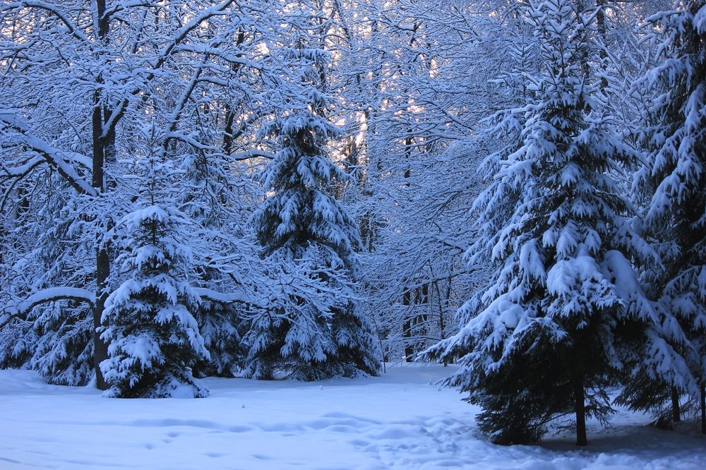 Photograph by Елена Николаева