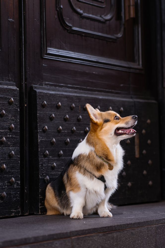 Photograph by Анна Полушина