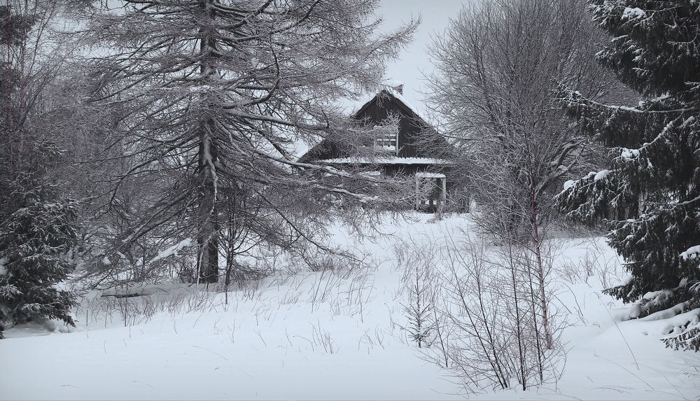 Photograph by Дмитрий Петухов