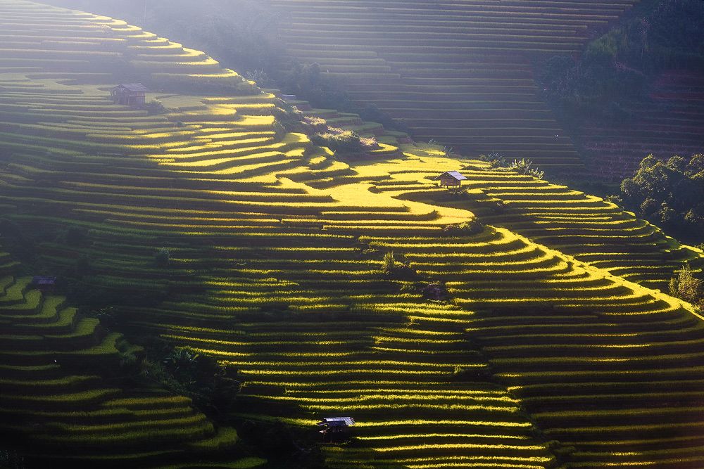 Evening Sunlight on the Terrace