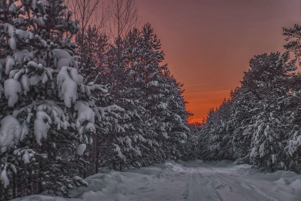 Photograph by Сергей