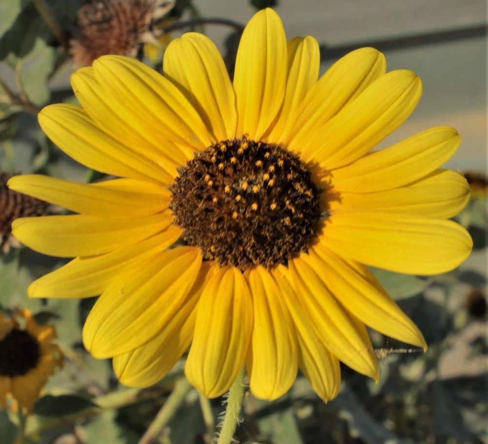 Photograph by Людмила Бутова