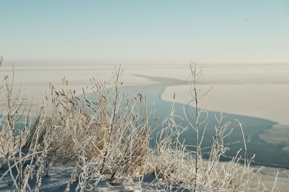 Photograph by Алексей Вагин