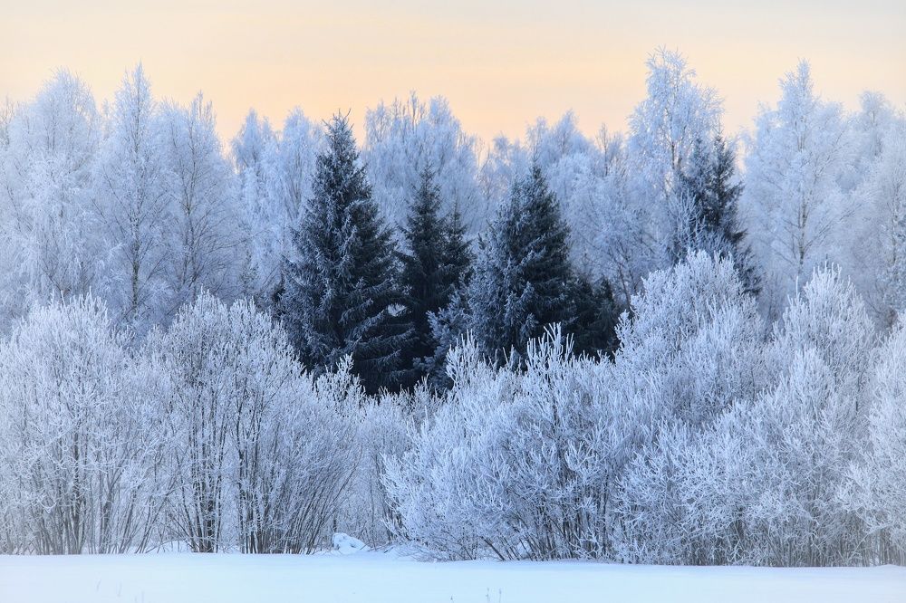 Photograph by Владимир Микрокосмос