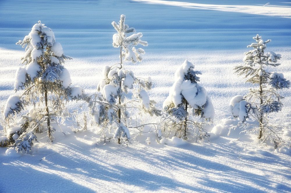 Photograph by Владимир Микрокосмос