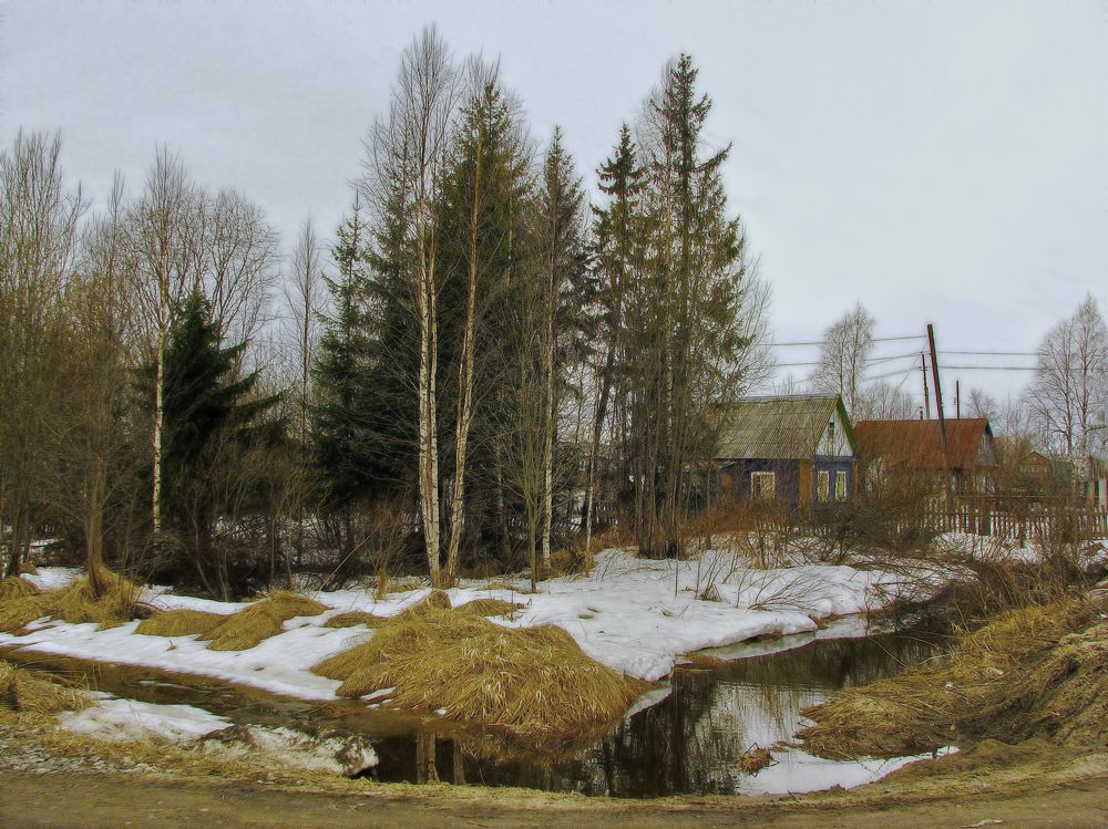 Photograph by Александр Стрельченко