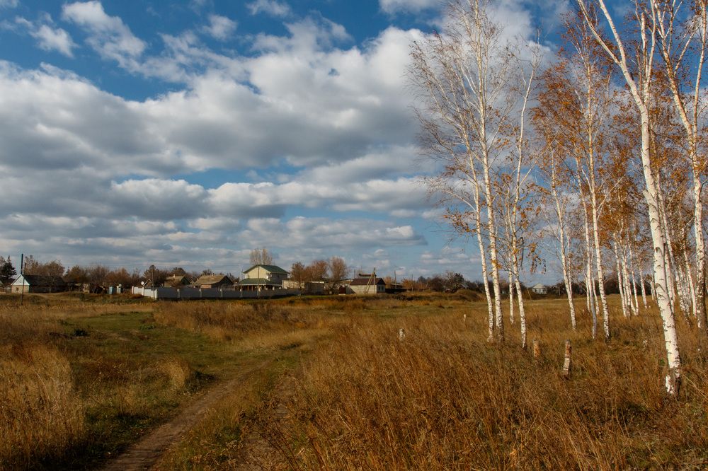 Photograph by Александр Стрельченко