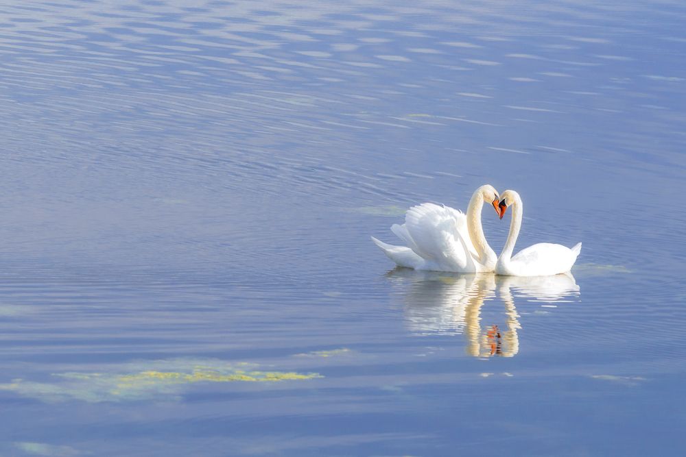Photograph by Владислав Никишин