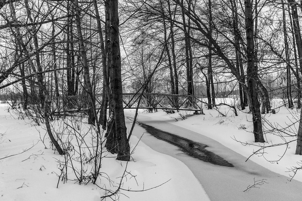 Photograph by Сергей Фадин