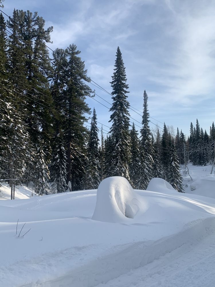 Photograph by Елена Каширина