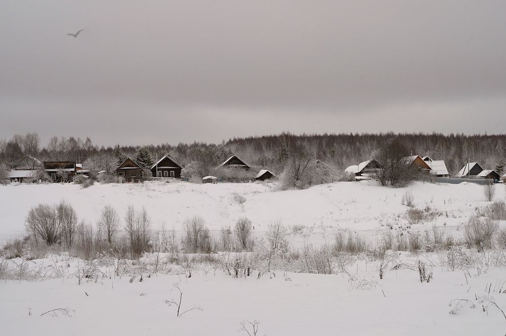 Моя деревня