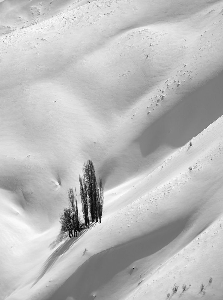 Photograph by Farid Ataei